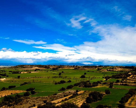 Somontano de Barbastro