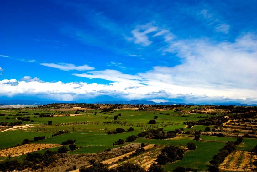 Somontano de Barbastro